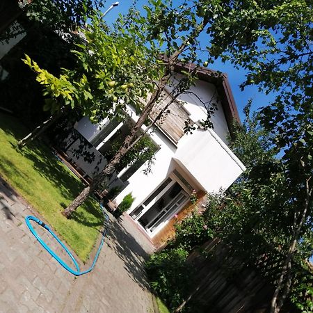 ブラショフ Casa Scheiana Bed & Breakfast エクステリア 写真