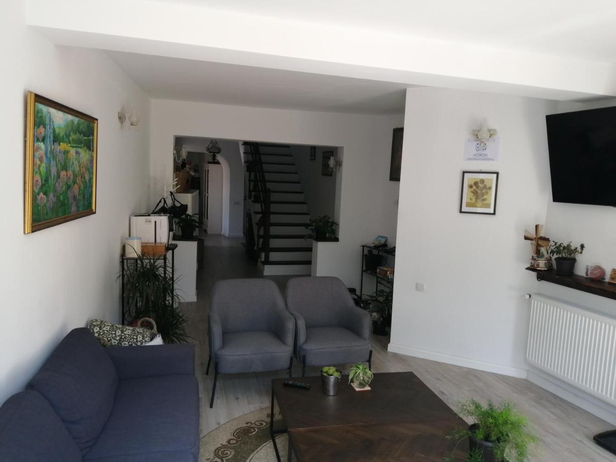 ブラショフ Casa Scheiana Bed & Breakfast エクステリア 写真