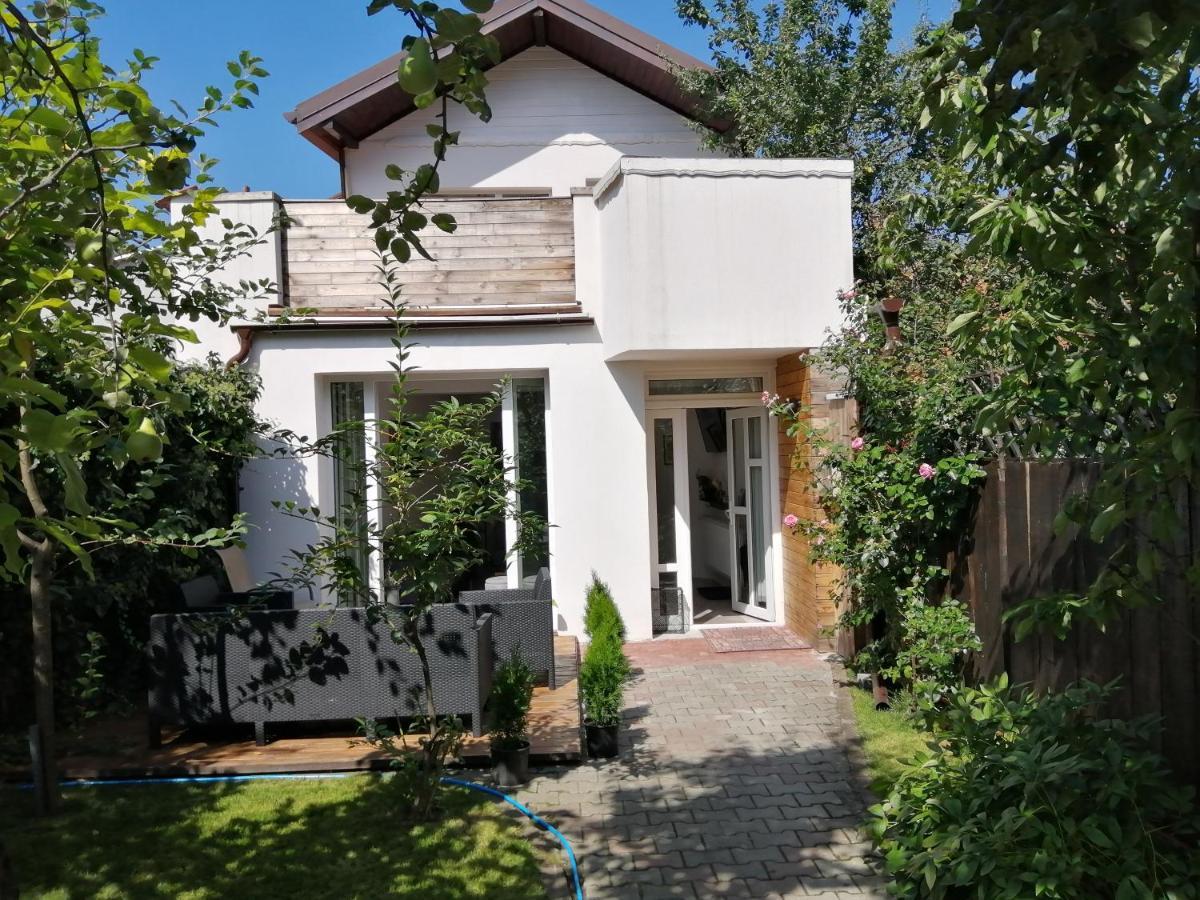 ブラショフ Casa Scheiana Bed & Breakfast エクステリア 写真