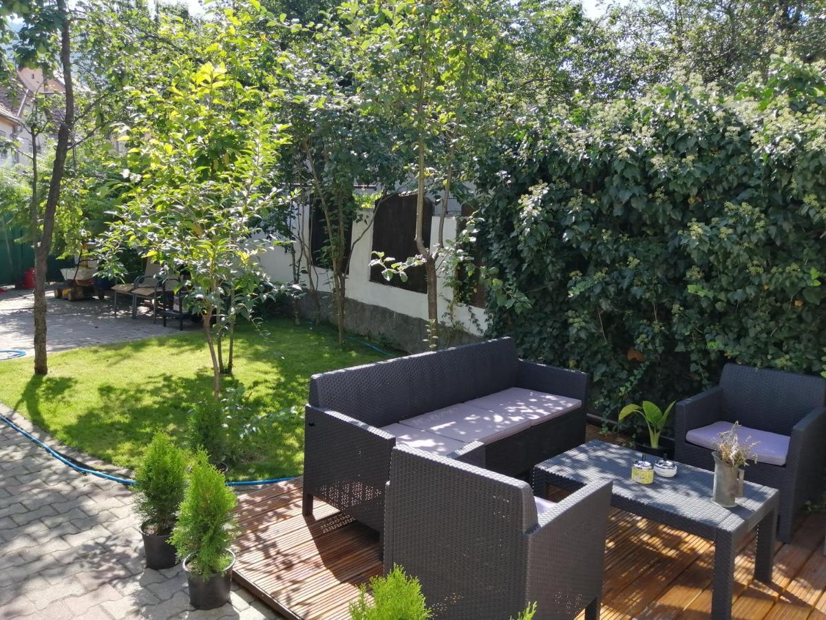 ブラショフ Casa Scheiana Bed & Breakfast エクステリア 写真
