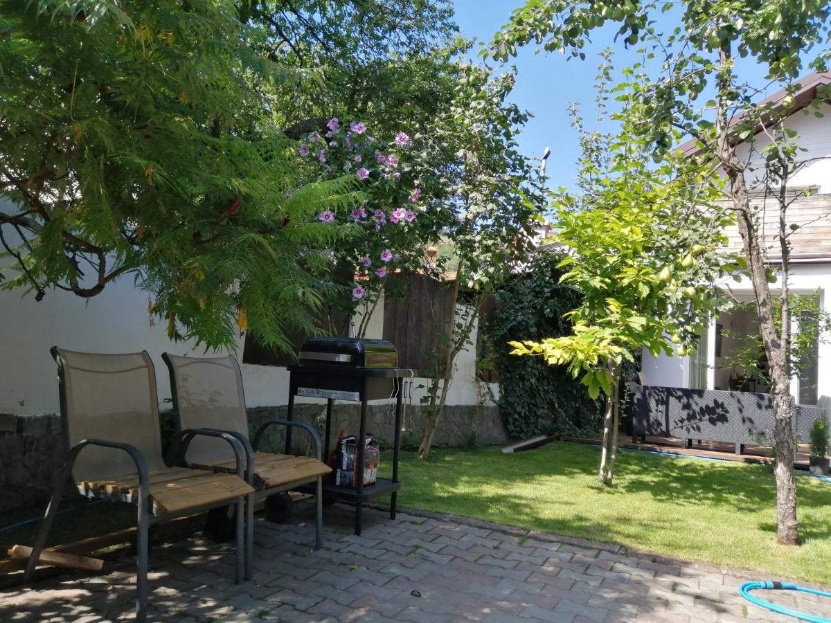 ブラショフ Casa Scheiana Bed & Breakfast エクステリア 写真