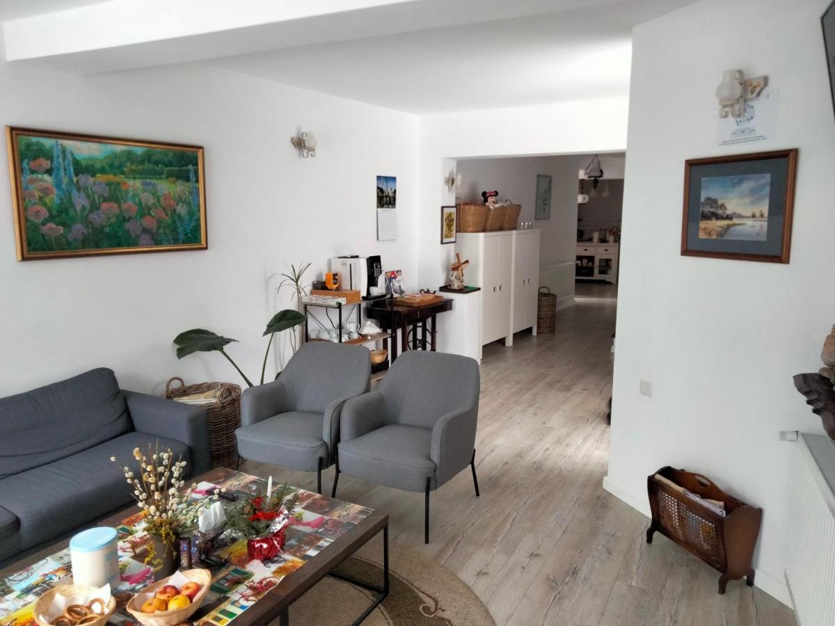 ブラショフ Casa Scheiana Bed & Breakfast エクステリア 写真