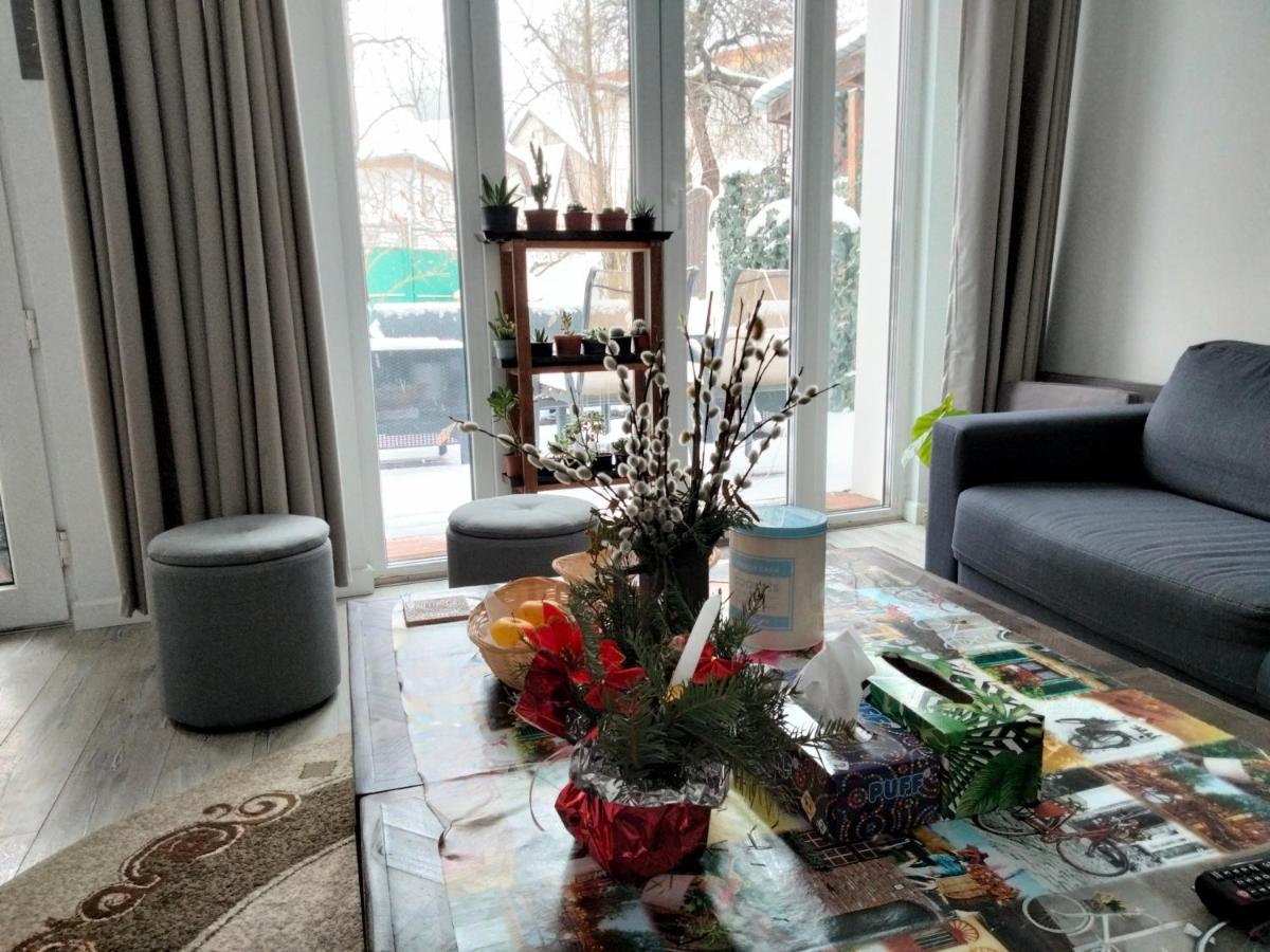 ブラショフ Casa Scheiana Bed & Breakfast エクステリア 写真