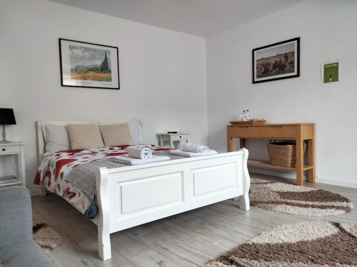 ブラショフ Casa Scheiana Bed & Breakfast エクステリア 写真