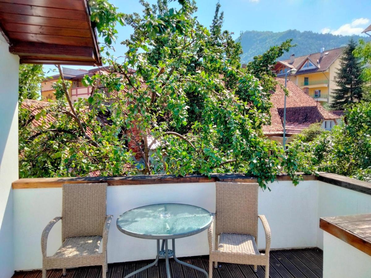 ブラショフ Casa Scheiana Bed & Breakfast エクステリア 写真