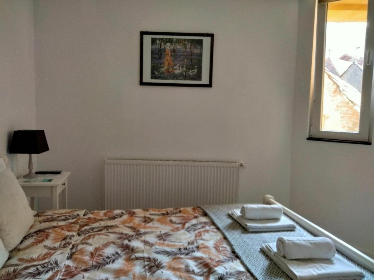ブラショフ Casa Scheiana Bed & Breakfast エクステリア 写真
