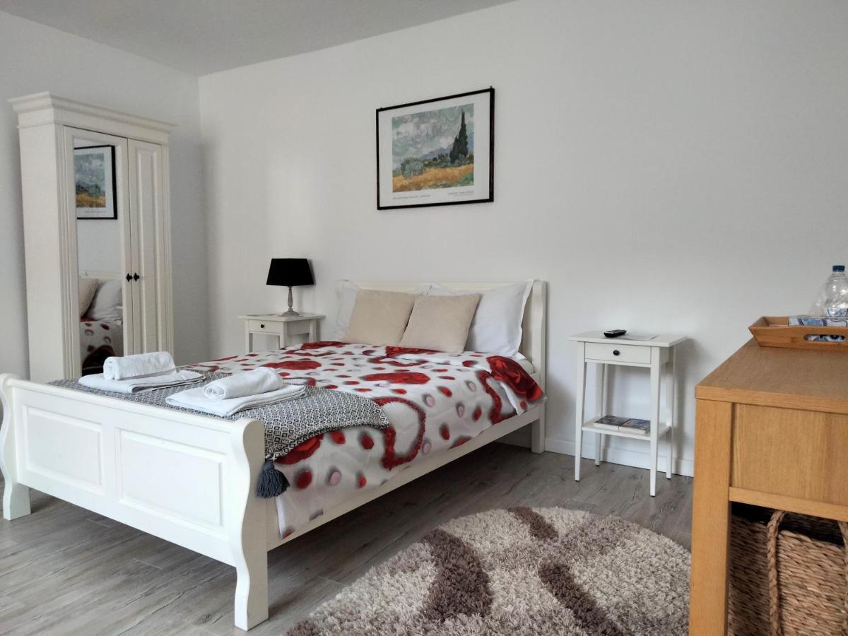 ブラショフ Casa Scheiana Bed & Breakfast エクステリア 写真