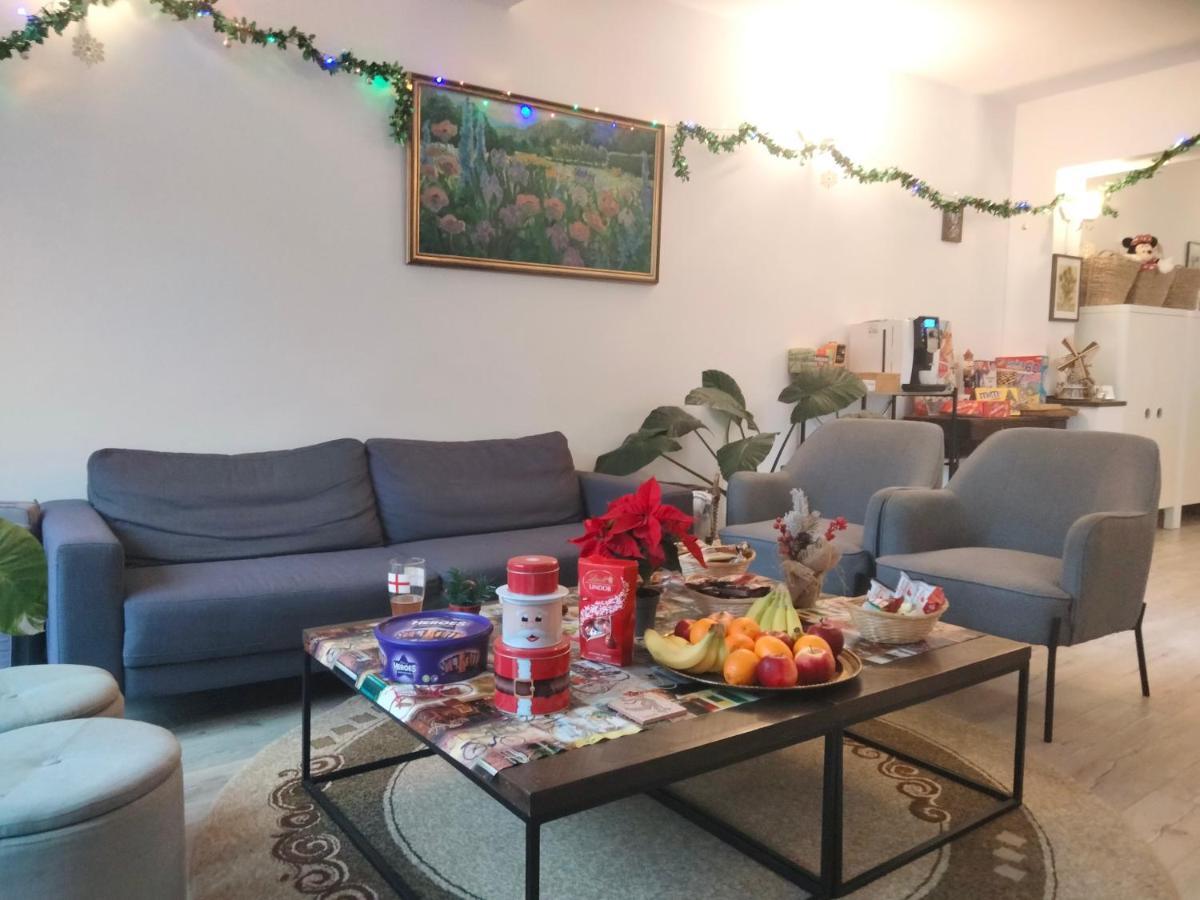 ブラショフ Casa Scheiana Bed & Breakfast エクステリア 写真
