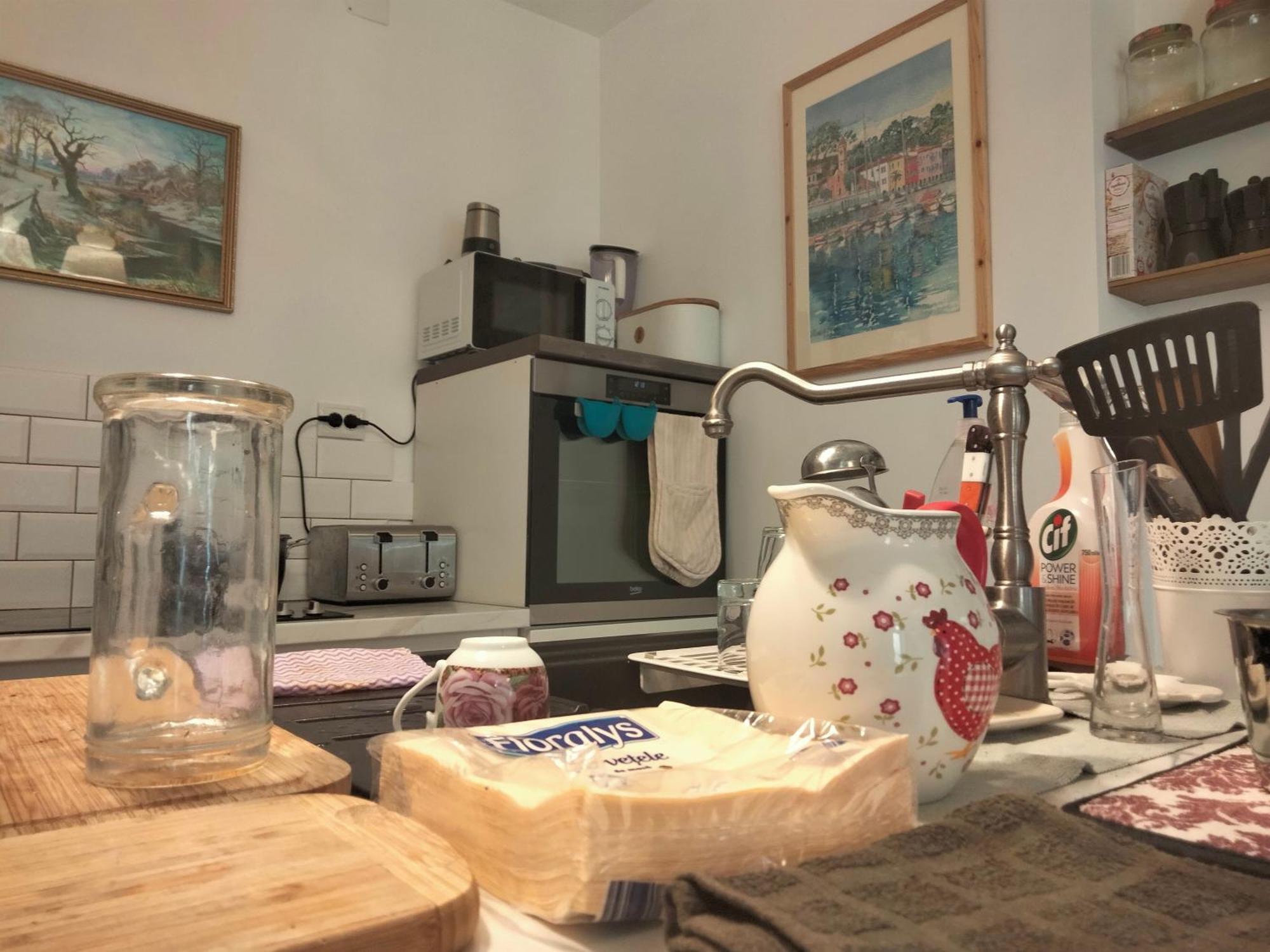 ブラショフ Casa Scheiana Bed & Breakfast エクステリア 写真