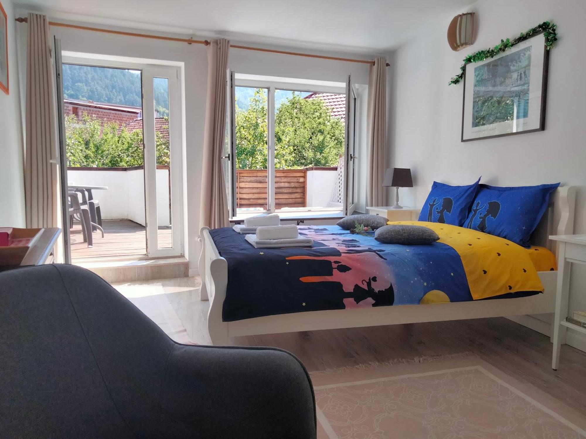 ブラショフ Casa Scheiana Bed & Breakfast エクステリア 写真