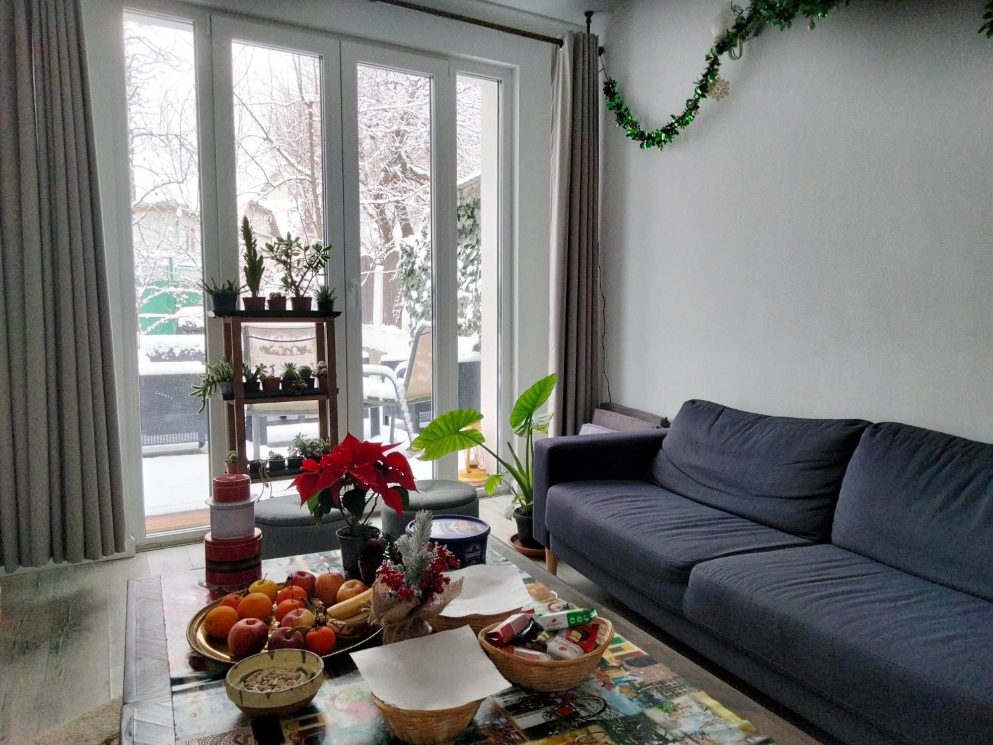 ブラショフ Casa Scheiana Bed & Breakfast エクステリア 写真