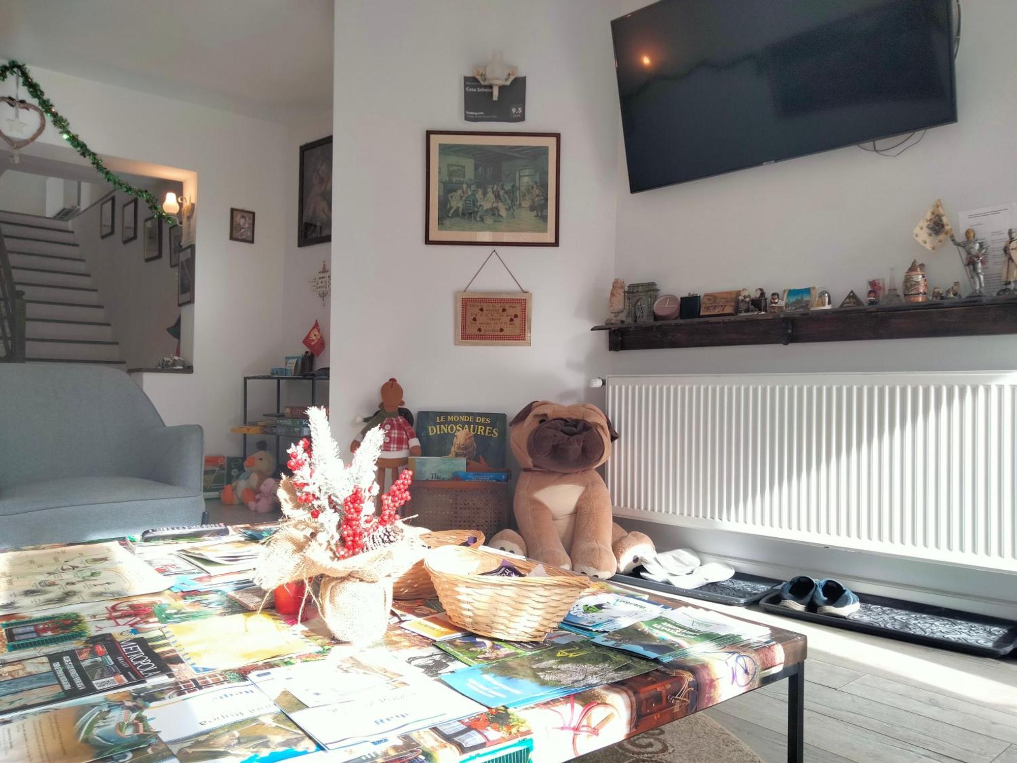 ブラショフ Casa Scheiana Bed & Breakfast エクステリア 写真