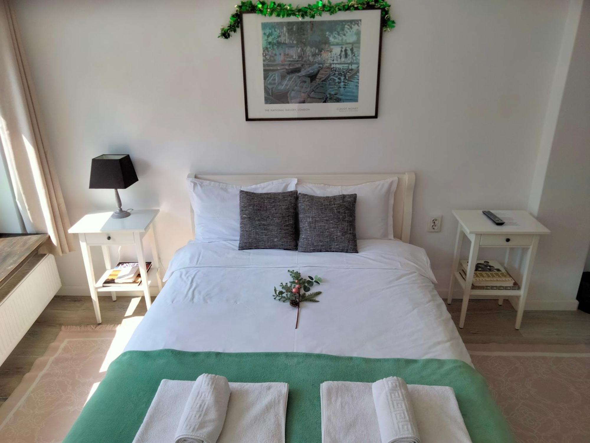 ブラショフ Casa Scheiana Bed & Breakfast エクステリア 写真