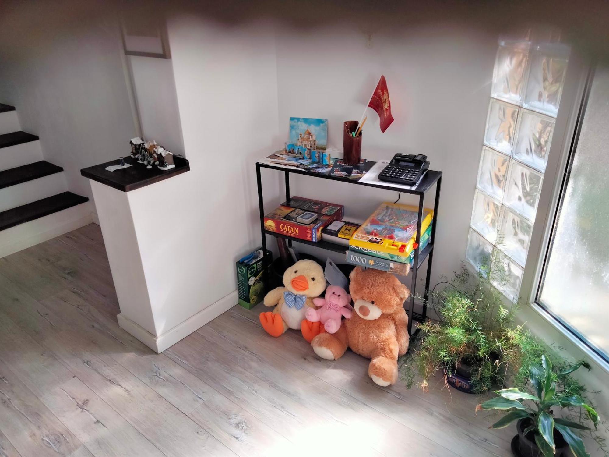ブラショフ Casa Scheiana Bed & Breakfast エクステリア 写真
