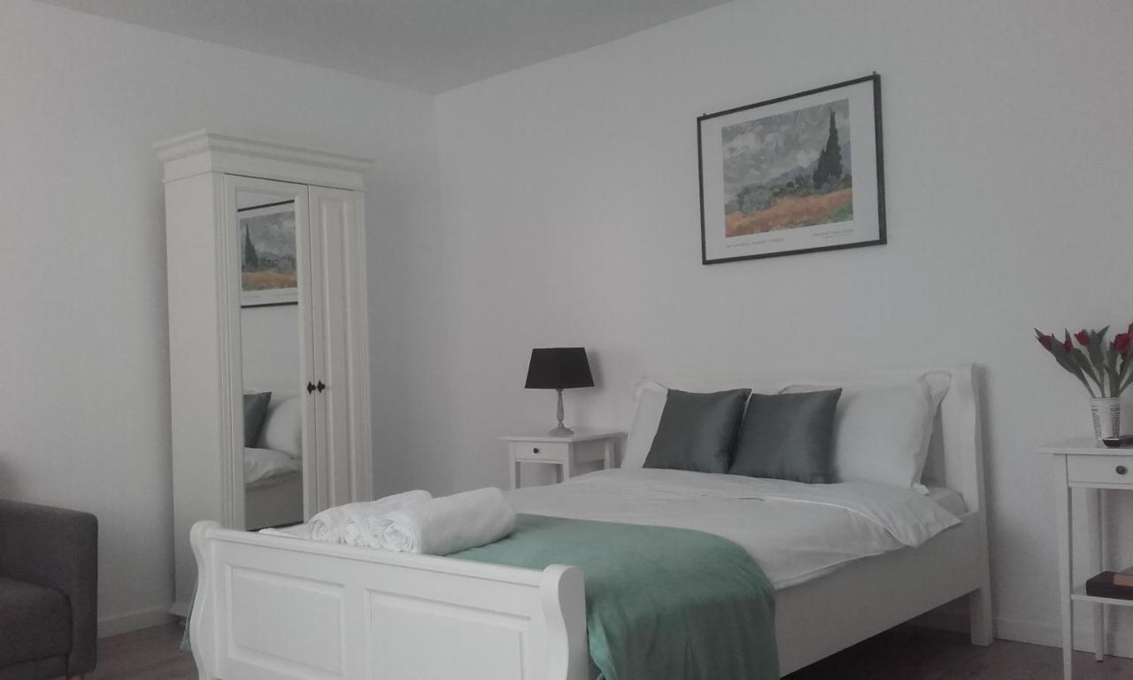 ブラショフ Casa Scheiana Bed & Breakfast エクステリア 写真