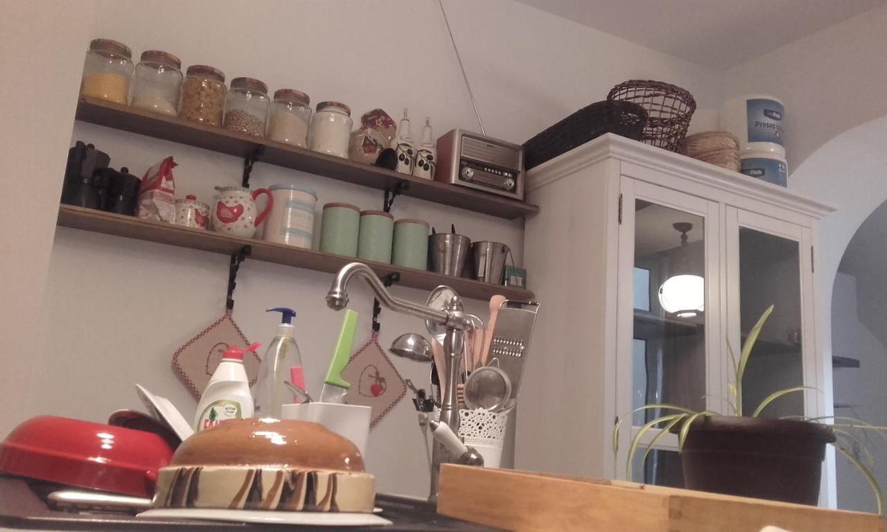 ブラショフ Casa Scheiana Bed & Breakfast エクステリア 写真